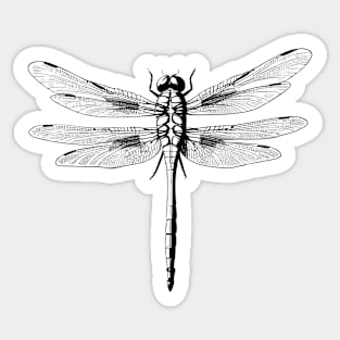 Simple Dragonfly Sticker